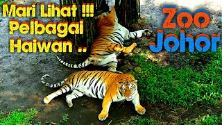 Lihat Haiwan pelbagai spesis  Zoo Johor [upl. by Salohci226]