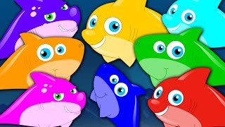 Learn Colors  Shark Colors Song  Learning Videos For Children  Cartoons For Babies by Kids Tv [upl. by Nailij722]