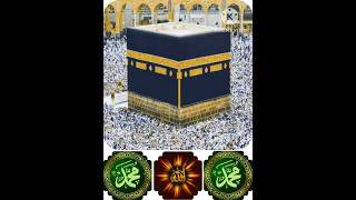 Baitullah Sharif Nazara 💐 tiktok shorts shortvideo short reet reel reels like likes foryou [upl. by Oz137]