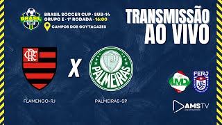 AO VIVO E COM IMAGENS FLAMENGORJ X PALMEIRASSP  BRASIL SOCCER CUP SUB14 [upl. by Meehahs]