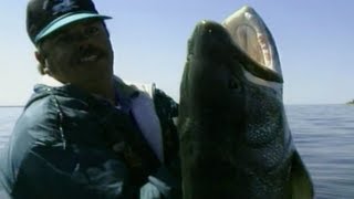 Simply Fishing MONSTER LAKE TROUT WORLD RECORD LAKER [upl. by Jerrome]