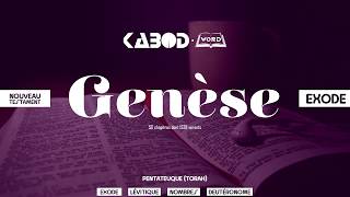 « Genèse »  LAncien Testament  La Sainte Bible audio VF Complète [upl. by Amesari713]