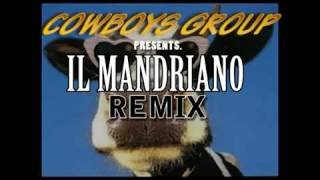 Cowboys Group  Il mandriano Remix  Striscia la notizia a Castelliri [upl. by Hteb]