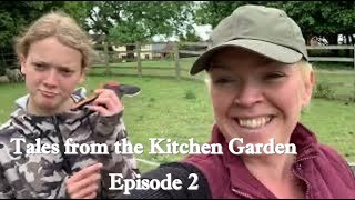 Tales from the kitchen garden  Episode 2  don’t give up [upl. by Irrab]