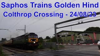 Saphos Trains Golden Hind Railtour passing Colthrop Crossing  24th August 2023 [upl. by Otto]