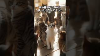 猫の種類は何種類いるの？ 猫の雑学その34 雑学 猫 猫のいる暮らし [upl. by Bridgid]