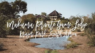 Makumu Private Game Lodge Kruger Park South Africa  Spectacular Game Drives amp Wellbeing [upl. by Oakley]