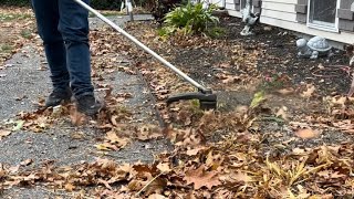 Fall Cleanup 2024 Part 1 [upl. by Rosse]