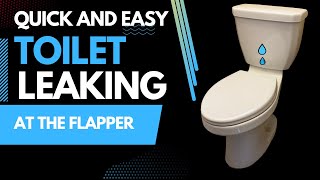 How to Fix a Leaking Toilet at the Flapper [upl. by Yentnuoc]