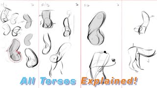 Draw Different Torso Types with FORCE [upl. by Africa622]