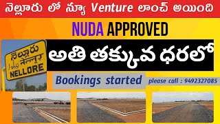 nellore plots for sale  open plots in nellore  nellore real estate nellore andhra pradesh  sales [upl. by Milburn134]