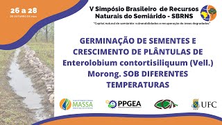 GERMINAÇÃO DE SEMENTES E CRESCIMENTO DE PLÂNTULAS DE Enterolobium contortisiliquum Vell Morong [upl. by Dara]