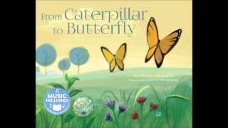 From Caterpillar to Butterfly [upl. by Toddy]