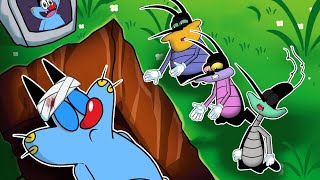 Oggy and the cockroaches cartoon  Oggy and the cockroaches new episode in Hindi  Oggy cartoon [upl. by Erbua328]