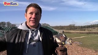 Deadly 60s Steve Backshall at Longleat Safari Park [upl. by Rik]