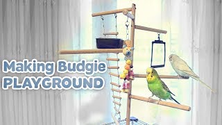 Making Budgie Playground [upl. by Zurek]