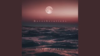 Reverberations [upl. by Ayota217]