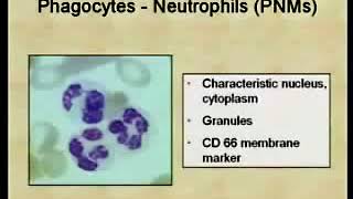 11 Innate Nonspecific Immunity  Immunology Video Lectures [upl. by Einnalem702]