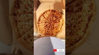 Dominos pizza how to cut large size [upl. by Nitnerb]