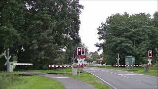 Bahnübergang Neuenhaus  German Railroad crossing Spoorwegovergang  Promotierit Nedersaksenlijn [upl. by Lonier]