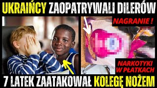 Para 0bcokrajowców zaopatrywała dilerów w całej Polsce Wiadomości Kryminalne [upl. by Kristan]