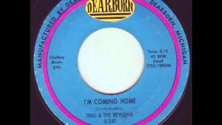 Tino amp the Revlons  Im Coming Home 60s GARAGE PSYCH [upl. by Ylim]