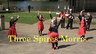 Three Spires Morris dance quotMiner Islandquot at St Georges Day of Dance at Walsall Arboretum [upl. by Lateehs]