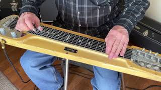 Wonderful Land  steel guitar [upl. by Britteny]