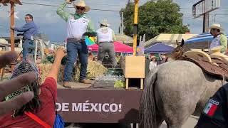 Cabalgata de Sabinas 2024 [upl. by Birchard]