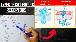 Cholenergic Receptors  Cholenergic System  ANS Pharmacology [upl. by Yeltsew]