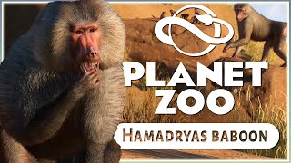 New Hamadryas Baboon  Planet Zoo Zookeepers Animal Pack  Screenshot Reveals [upl. by Acirretal]