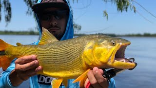 hermosa pesca en Zarate modalidad baitcasting [upl. by Amej]