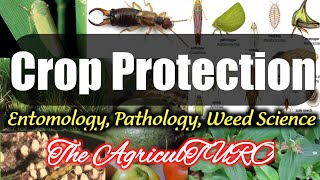 Crop Protection Entomology Pathology Weed Science PPT [upl. by Maroj830]