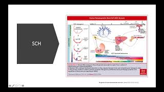 Hematología 1 Hematopoyesis [upl. by Skutchan338]