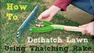 How to Dethatch Lawn Using a Thatching Rake [upl. by Sibel]