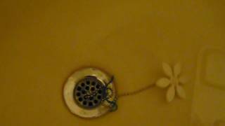 DrainWig Easy To Use  Takes Care of Long Hair in Showers [upl. by Pretrice700]