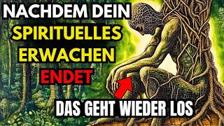 Seltsame Dinge Die Passieren Wenn Dein Spirituelles Erwachen Endet [upl. by Gaile]