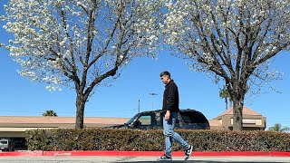 Lakad Lakad at Paaraw  Callery Pear Tree [upl. by Pasia]