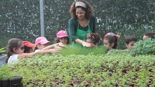 Projeto de Educação Ambiental quotDedinho Verdequot na Sabor de Fazenda [upl. by Ennovy851]