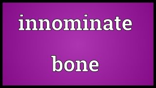 Innominate bone Meaning [upl. by Kirst]