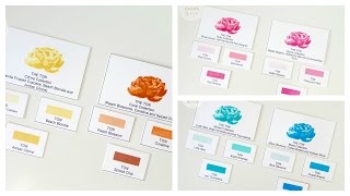 The Ton Couture Color Ink Review [upl. by Dew]