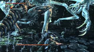 Bloodborne Boss Guide How to beat Amygdala [upl. by Haila492]