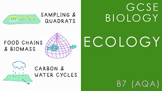 ECOLOGY  GCSE Biology AQA Topic B7 [upl. by Asiak]