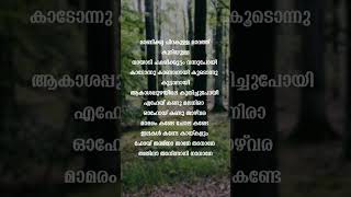 Manikya chirakulla song lyrics shorts trending shortsfeed [upl. by Bobbette]