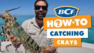 How to Find AND CATCH the Tropical Rock Lobster BIG Crays [upl. by Nauqet]