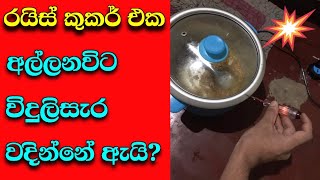 Rice Cooker  how to repair rice cooker electric shock  rice cooker repair Sinhala [upl. by Johny768]