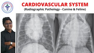 CardioVascular System  Radiology  Lecture 15 [upl. by Nylecaj]