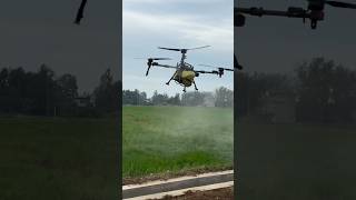 After the herbicide is finished continue spreading fertilizer drone sprayingdrone [upl. by Smoot]