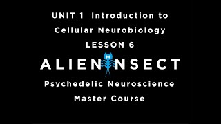 Psychedelics and the Brain Master Course UNIT 1 Introduction to Cellular Neurobiology LESSON 6 [upl. by Nelloc165]