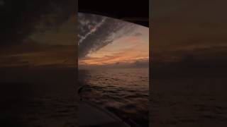 Sunrise 30 Miles Offshore florida shorts fishing sunrise [upl. by Llered]